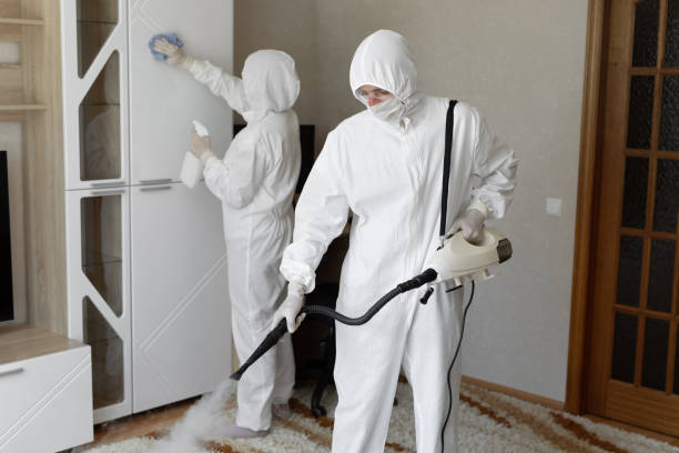 Best Industrial Mold Remediation in Narragansett Pier, RI