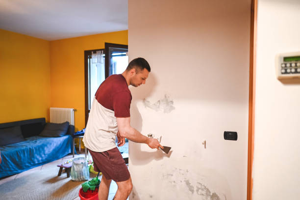 Best Mold Remediation for Schools in Narragansett Pier, RI